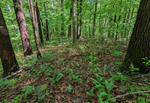 PXL 20220515 151017521