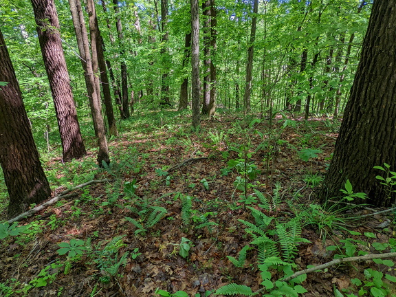 PXL 20220515 151017521