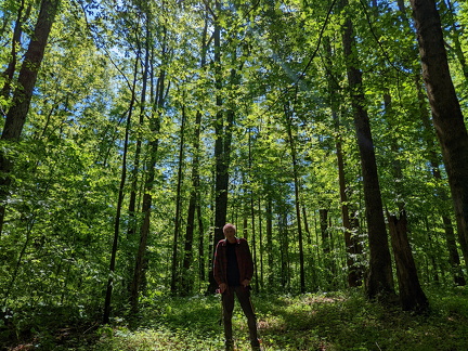 PXL 20220515 153225869