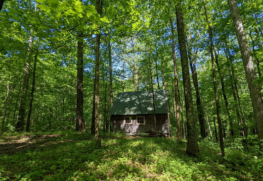 PXL 20220515 153701449