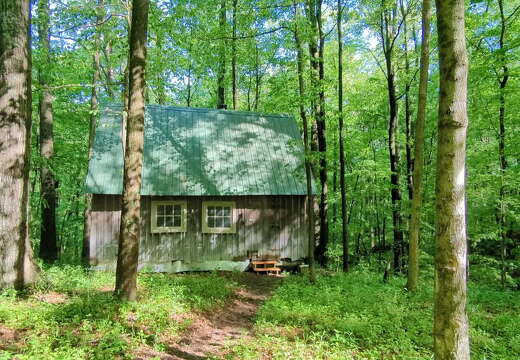 PXL 20220515 140153212.TS