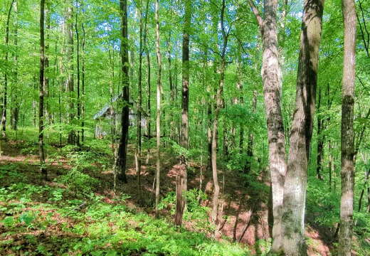 PXL 20220515 140610416.TS