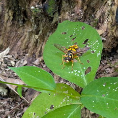 PXL 20250906 180119844