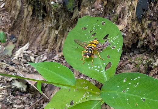 PXL 20250906 180119844