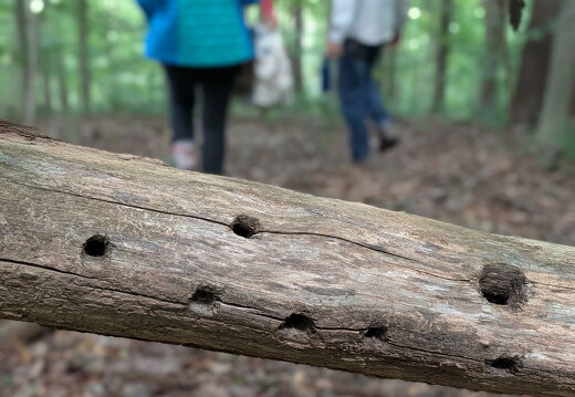 PXL 20250906 181900203