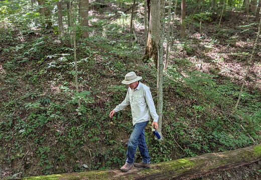 PXL 20250906 182902385