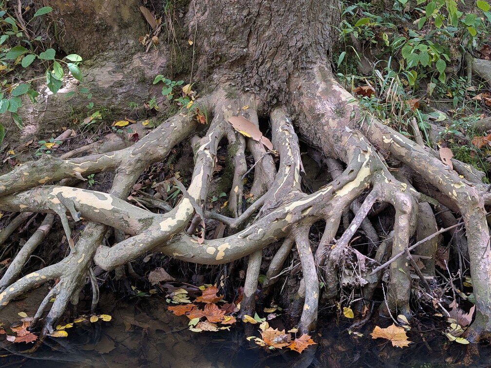 PXL 20250906 183948332