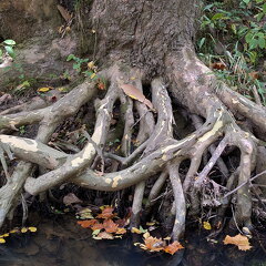 PXL 20250906 183948332