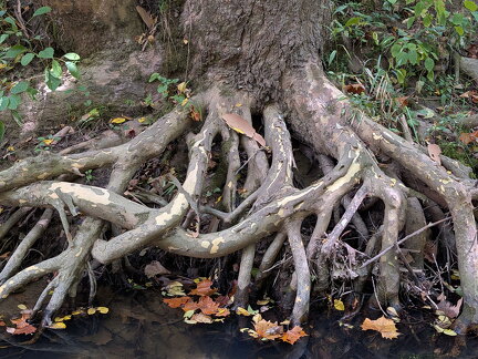 PXL 20250906 183948332