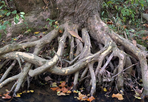 PXL 20250906 183948332