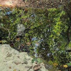 PXL 20250906 184248323