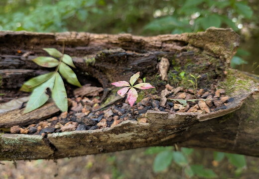 PXL 20250906 184732436