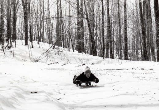 Graham-fisk-forest-sledding