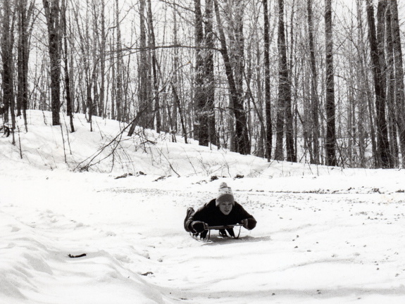 Graham-fisk-forest-sledding