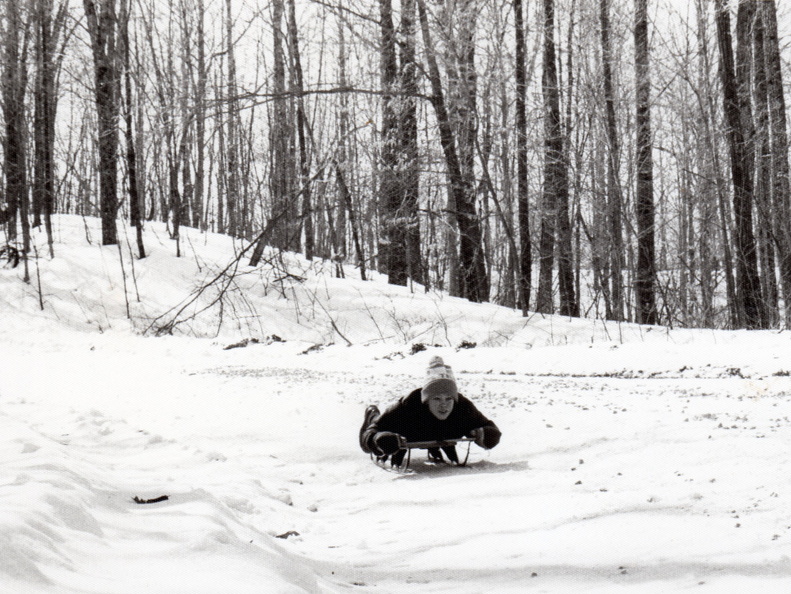 Graham-fisk-forest-sledding