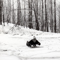 Graham-fisk-forest-sledding.jpg