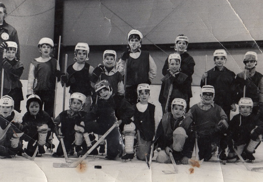Hockey-Mites