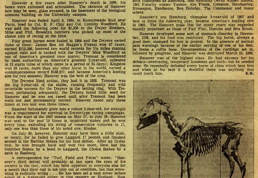 mighty-hanover-article