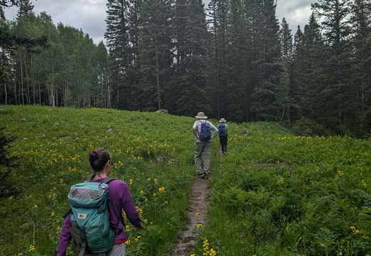 Beckwith Pass Trail