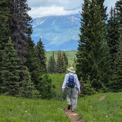 PXL 20240628 191610920