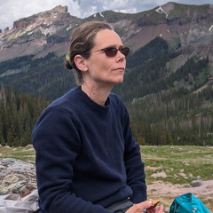 Wetterhorn Basin Trail