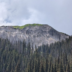 Wetterhorn Basin Trail