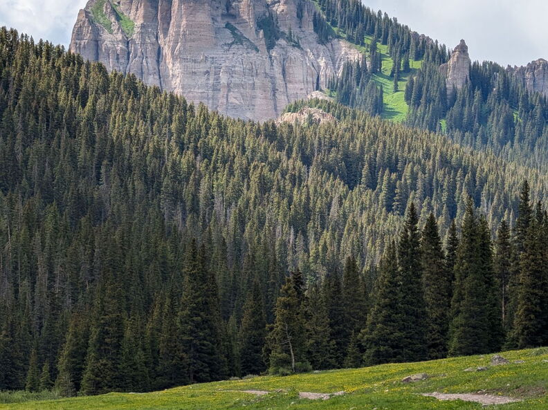 Wetterhorn Basin Trail