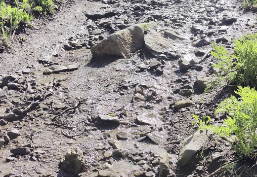 Barth-Melany-Scarp-Ridge-PXL 20240629 153759683