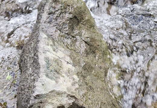 Brook--Flowers-PXL 20240630 205540394