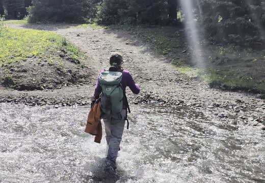 Melany-Creek-Crossing-PXL 20240630 221155692