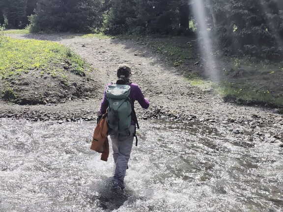 Melany-Creek-Crossing-PXL 20240630 221155692