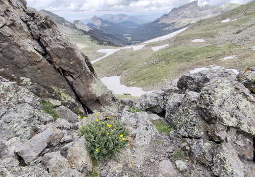 West-Fork-Pass-Wetterhorn-PXL 20240630 193057876