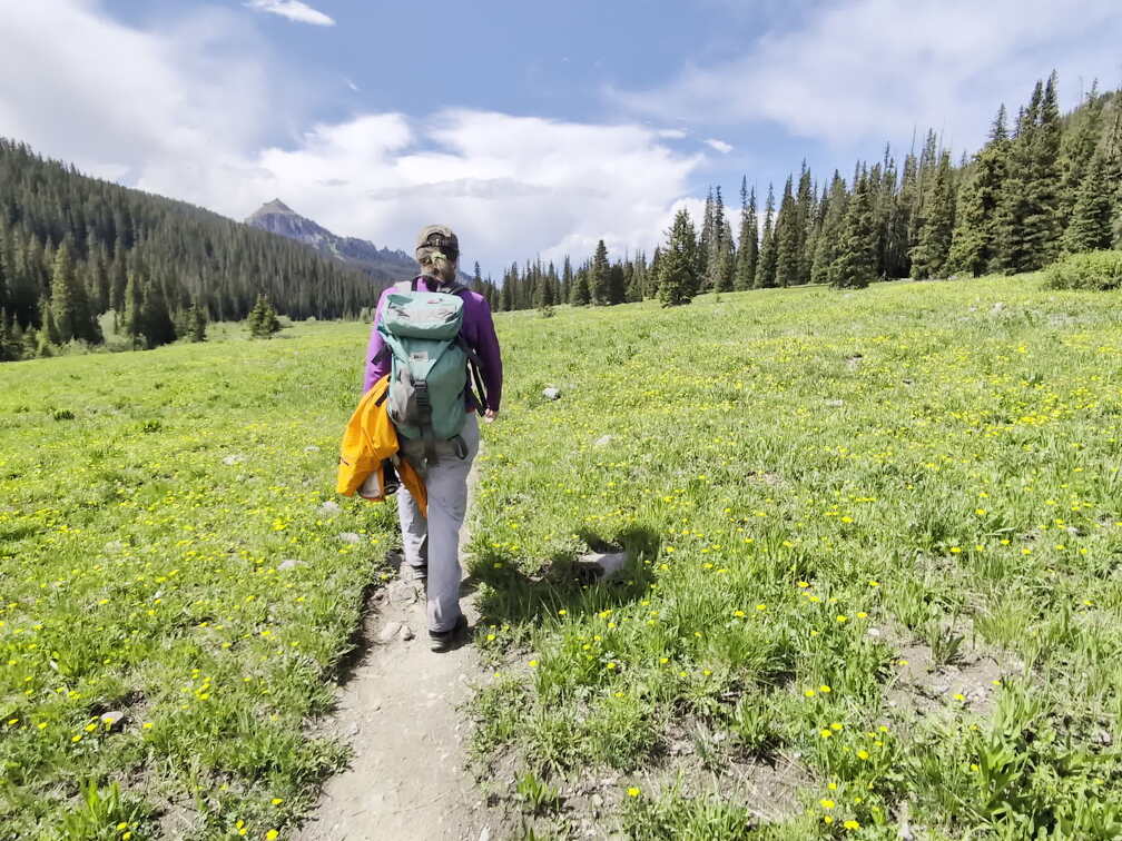 Wetterhorn-Basin-Meadow-View-PXL 20240630 214434480