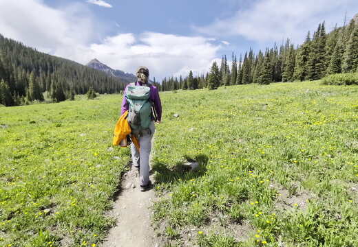 Wetterhorn-Basin-Meadow-View-PXL 20240630 214434480