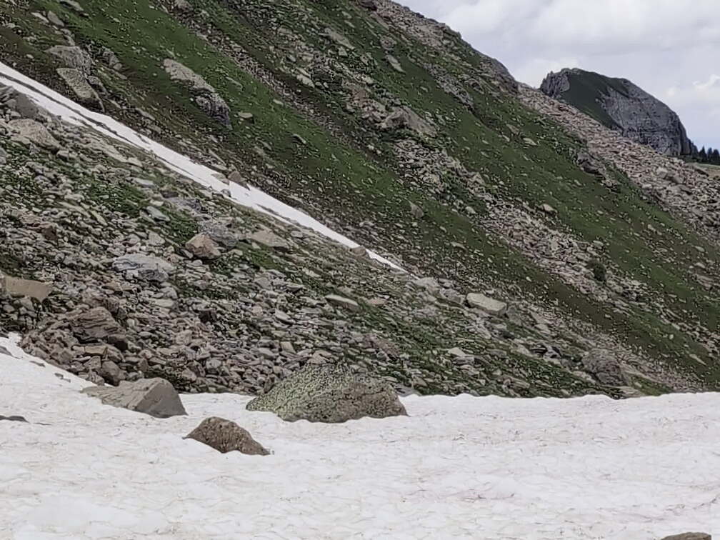 Wetterhorn-Basin-Snowfield-PXL 20240630 200554401
