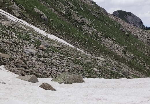 Wetterhorn-Basin-Snowfield-PXL 20240630 200554401