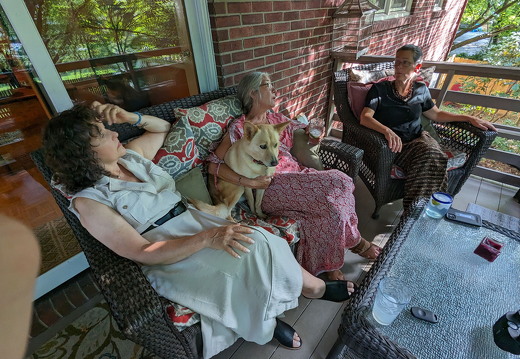 PXL 20230805 220132754