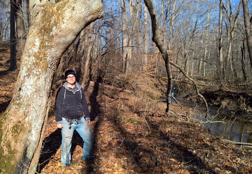 WP-20161230-12-00-10-Pro1