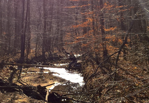 WP-20161230-12-04-13-Pro