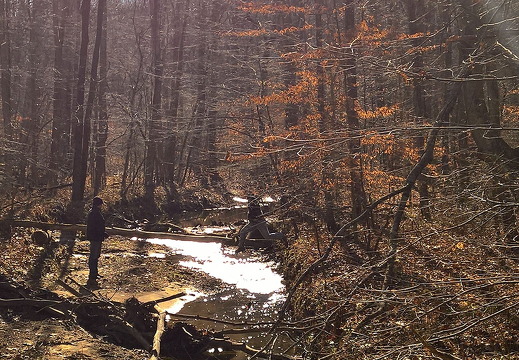 WP-20161230-12-04-22-Pro