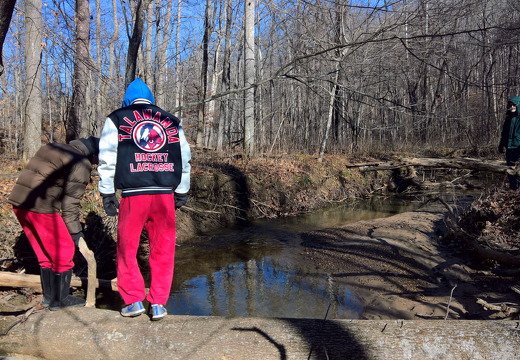 WP-20161230-12-06-37-Pro