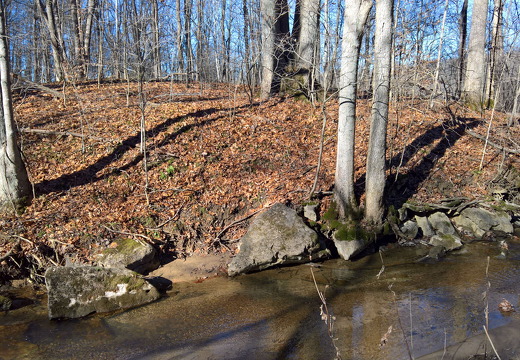 WP-20161230-12-08-17-Pro