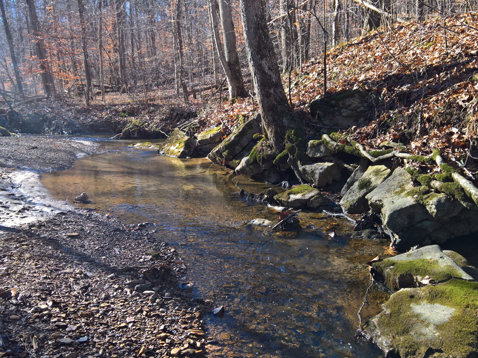 WP-20161230-12-08-45-Pro