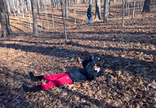 WP-20161230-12-19-50-Pro