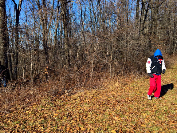 WP-20161230-12-21-21-Pro