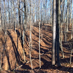 WP-20161230-13-44-33-Pro