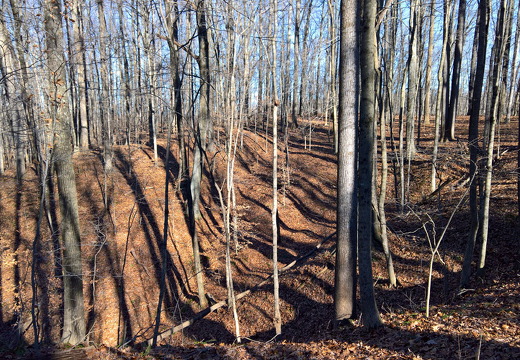 WP-20161230-13-44-33-Pro