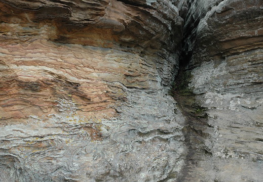 Garden 0f The Gods 2013