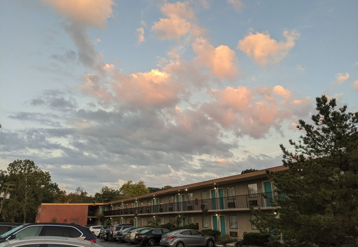 PXL 20211009 115802131