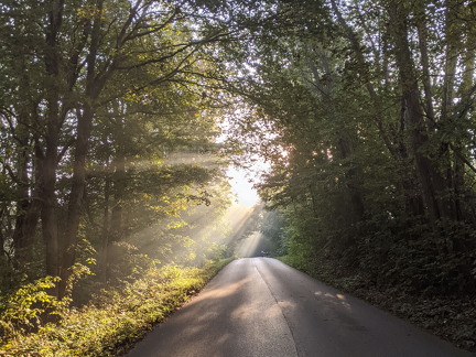 PXL 20211009 130935490